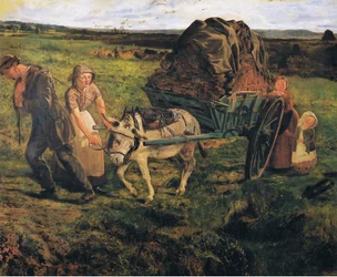 Trasporto di torba dalla palude